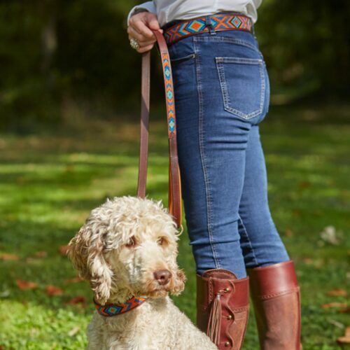 Stripe Beaded Dog Lead with Padded Handle