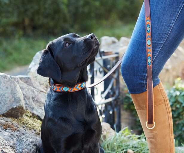 Stripe Beaded Dog Lead with Padded Handle