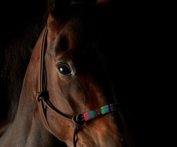Brown Stripe Beaded Design Pressure Halter