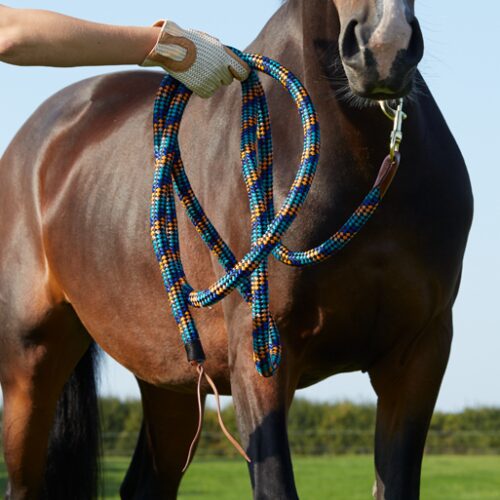 Multi-Colour Leather Trim Training Rope